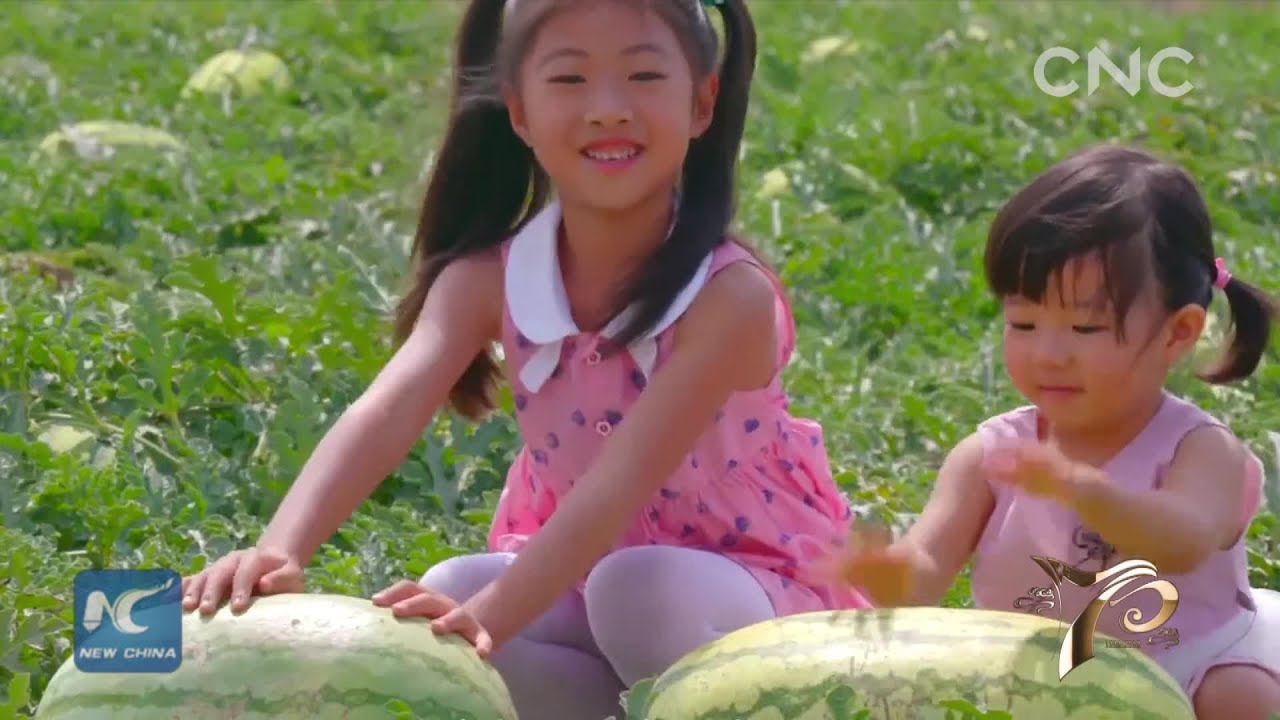 ChinaFromAbove: Ningxia|I love you, China