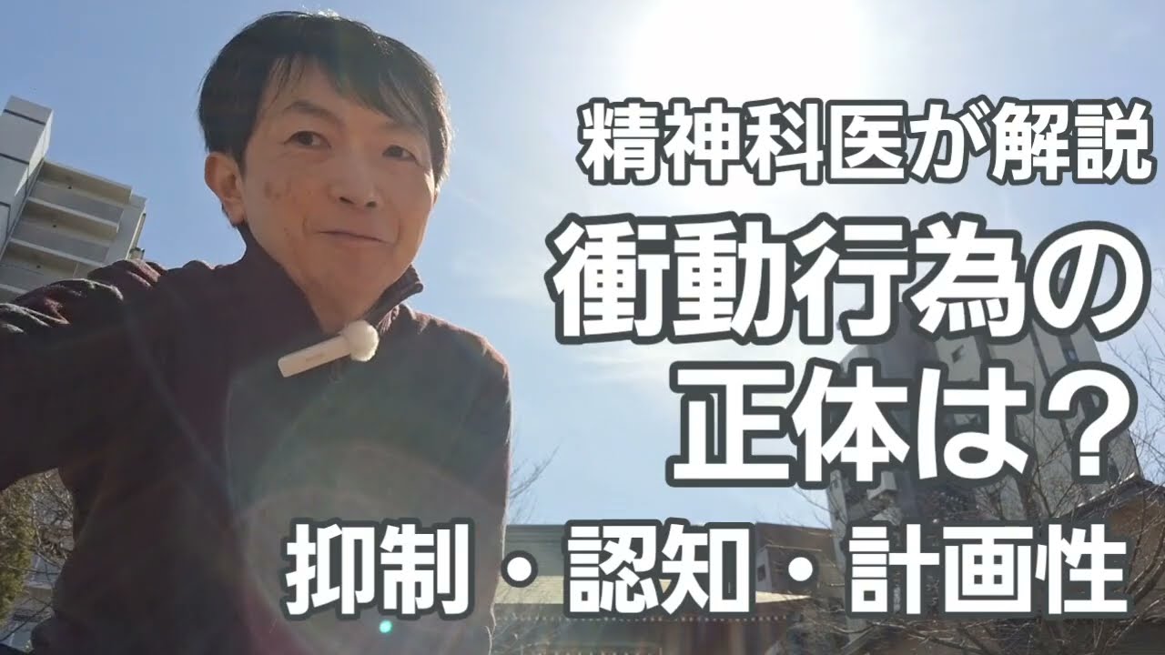 衝動行為［臨床］抑制／認知／計画性で理解する