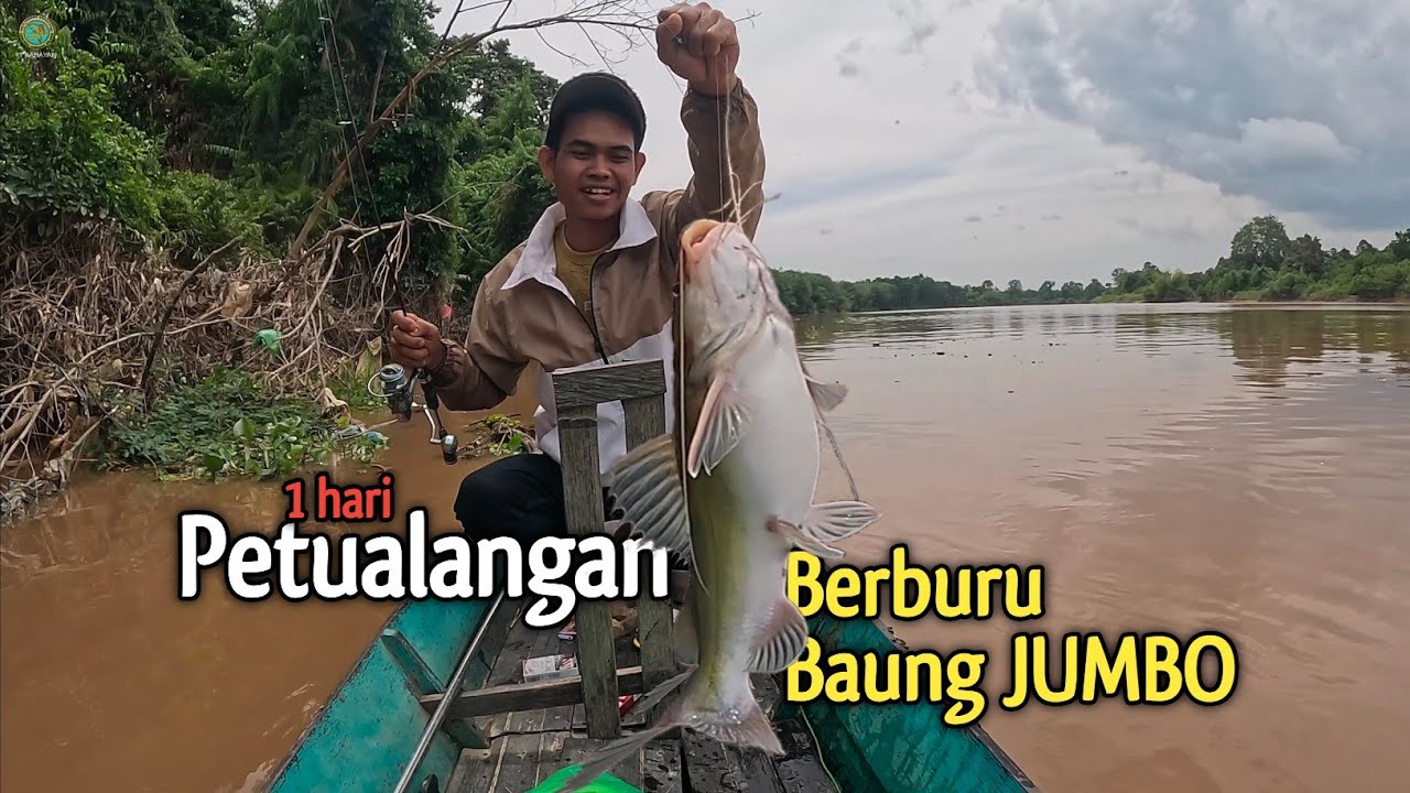 PANEN ‼️PETUALANGAN MANCING BAUNG 1 HARI MENYUSURI SEI KAHAYAN & MENEMUKAN LUBUK BAUNG