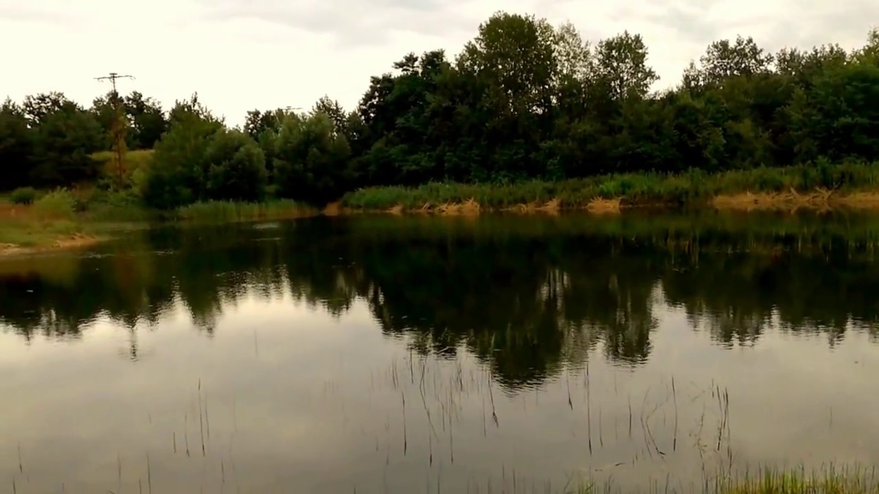 ŁOWISKO PZW KATOWICE NR 814 - ZANDKA