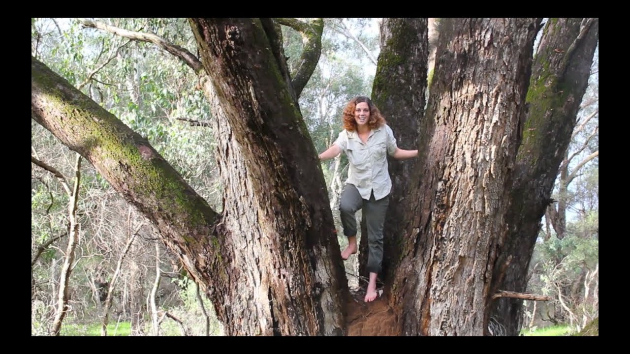 Amy Wild Adventures 5: Giant Spiders PLUS Getting to Know Amy!