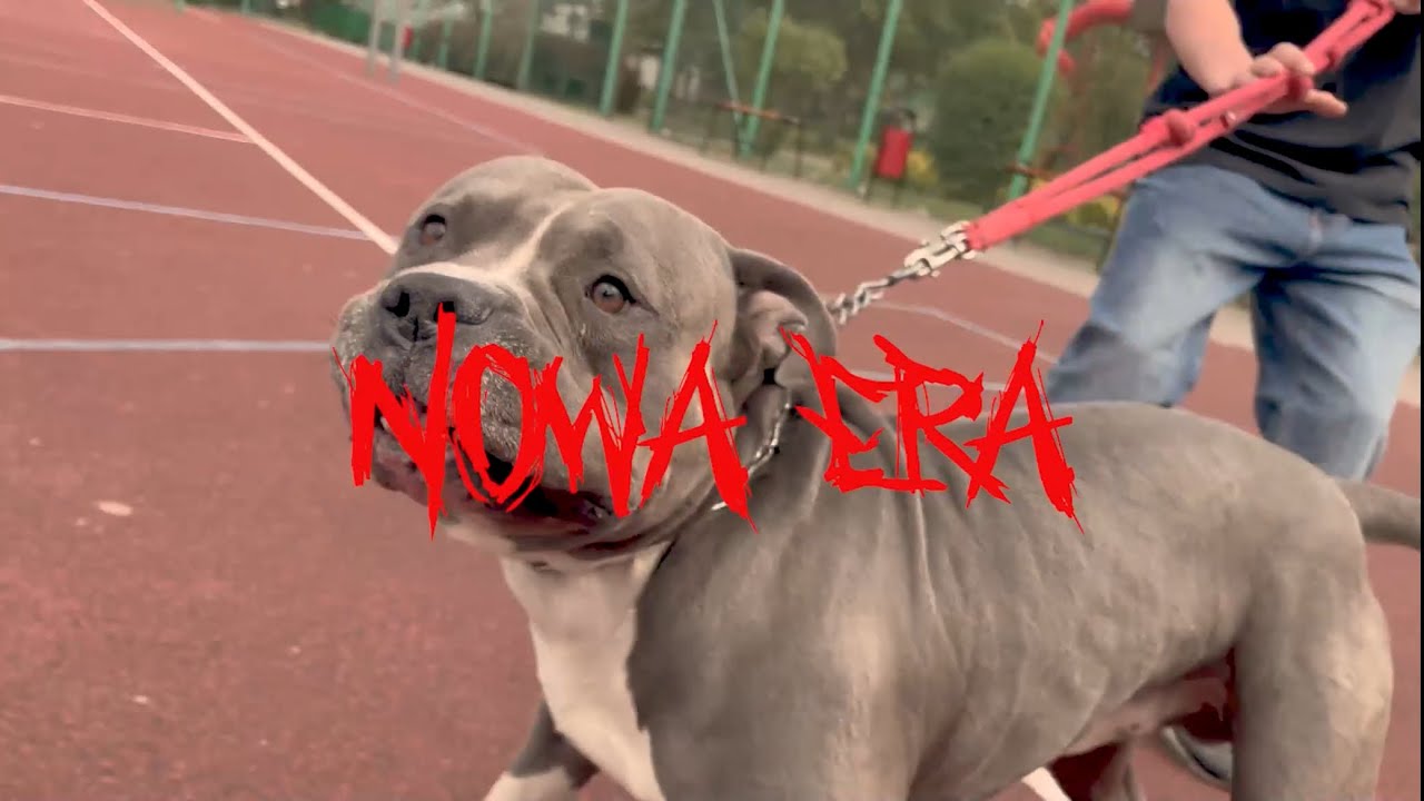 PIKO - NOWA ERA (prod. Jimi) [🎥: RUDY]