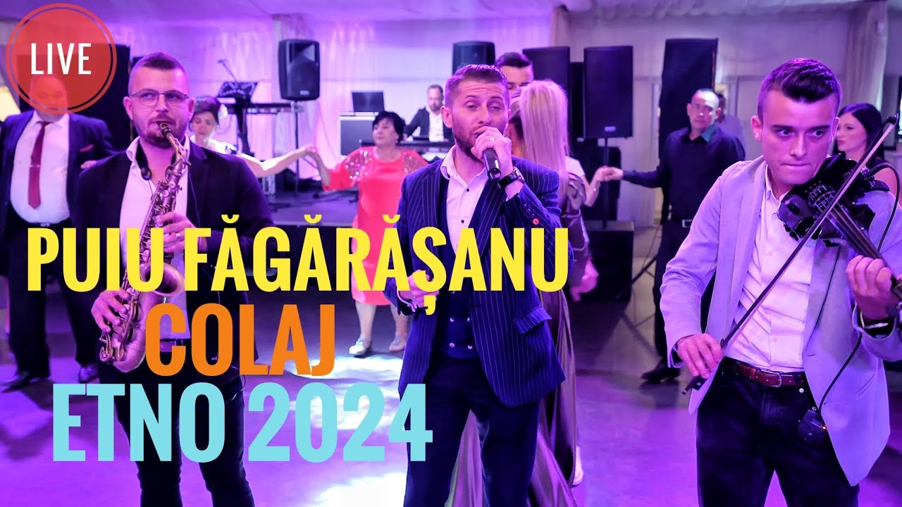 Puiu Fagarasanu🆙Colaj Etno💯 Live 2024