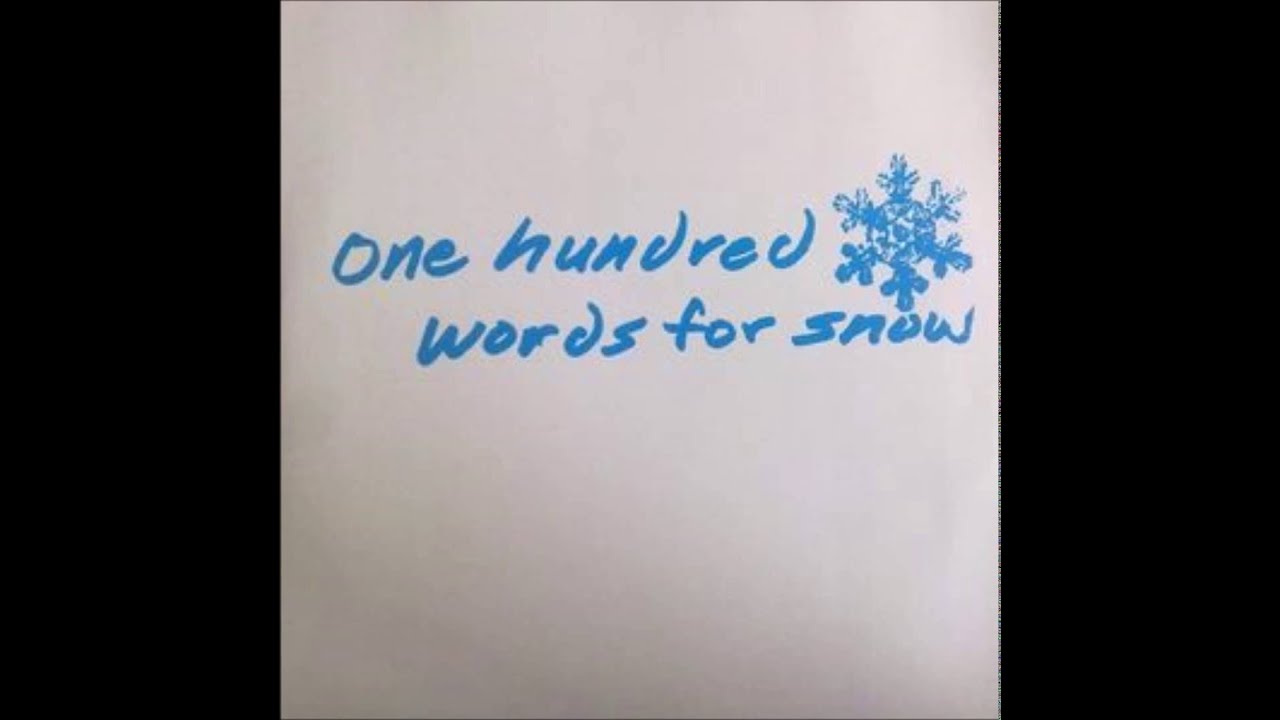 one hundred words for snow - closure at terminal 14