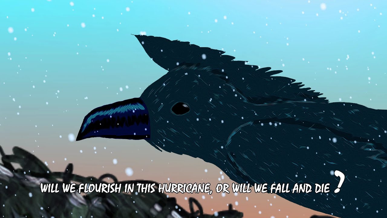 Black Crow - Jamiroquai (Animated Music Video)