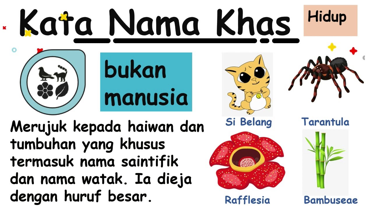 Kata nama khas #cikgootube #ppki #KSSR  Pendidikan Khas tahun 4 Bahasa Melayu