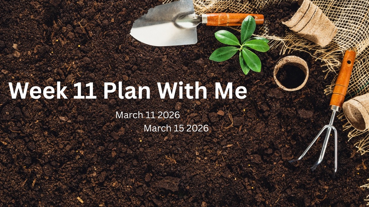 Week 11| Plan With Me