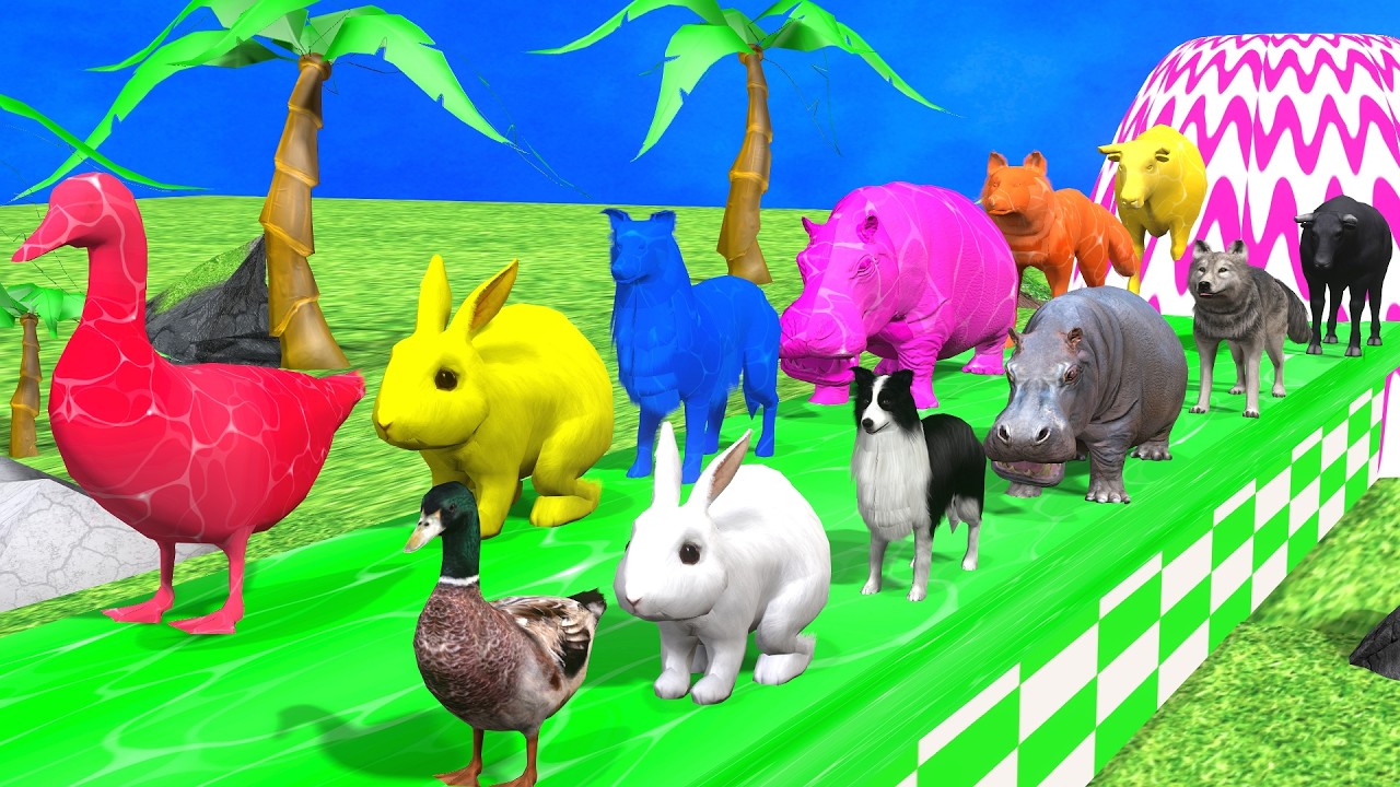 Long Slide Game With Cow Elephant Gorilla Hippopotamus Tiger - 3d Animal Game - Funny 3d Animals