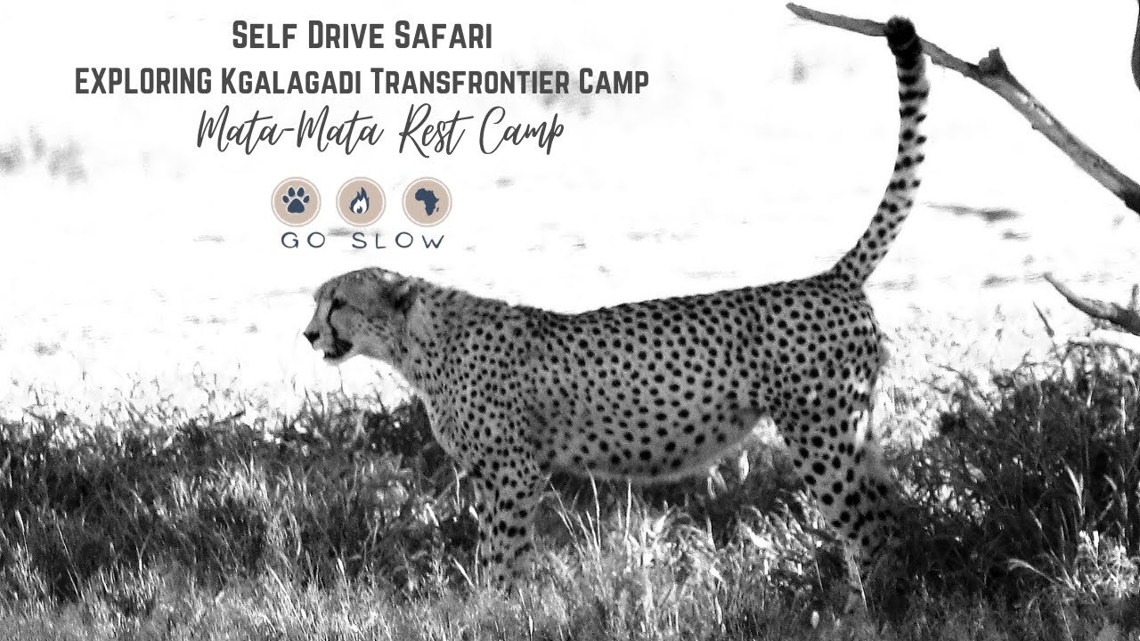 Exploring Africa: Self Drive to Kgalagadi Transfrontier Park, Mata-Mata Rest Camp