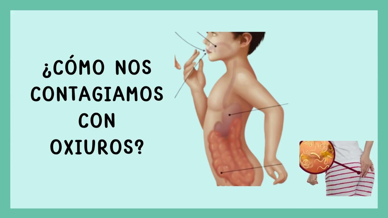 PLATELMINTOS Y NEMÁTODOS