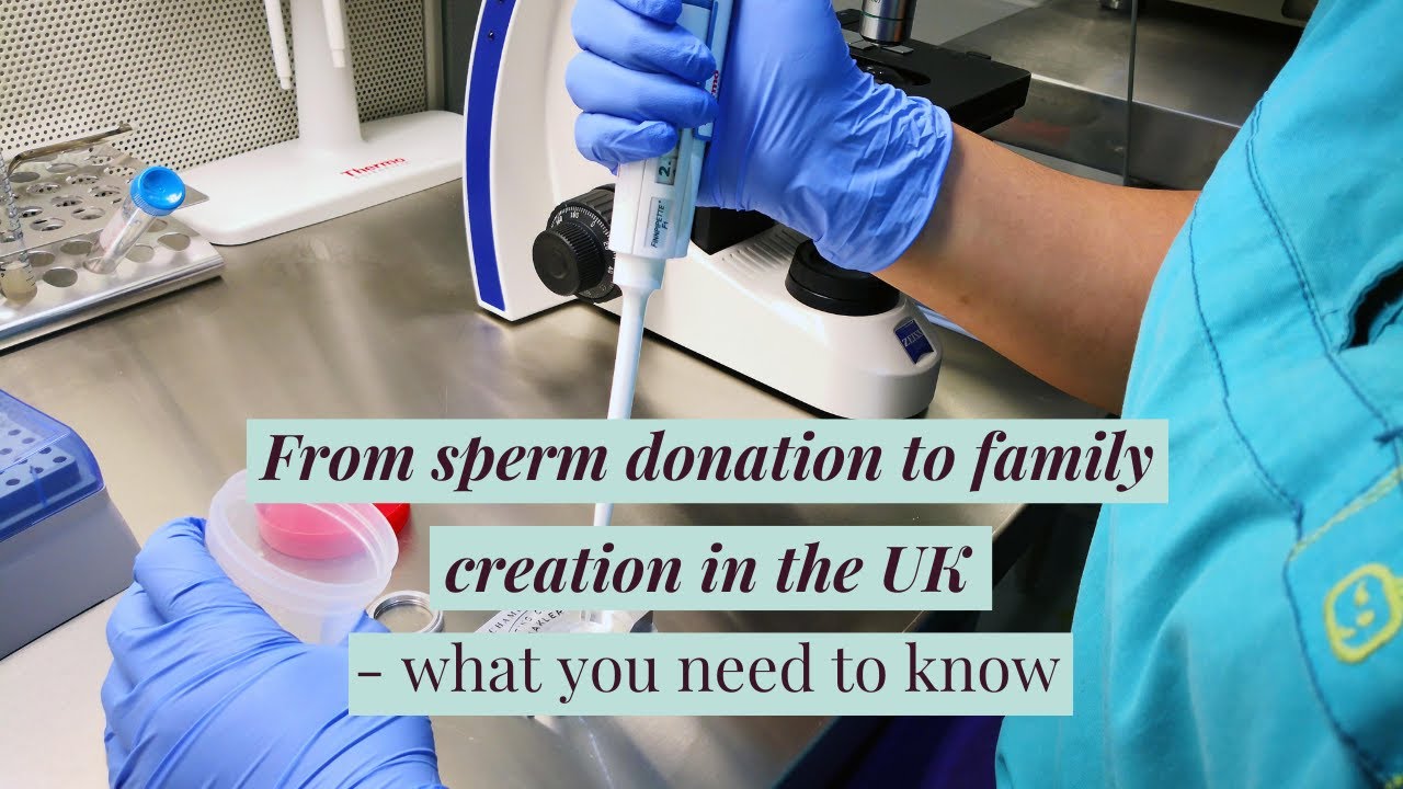 From sperm donation to family creation in the UK &ndash; what you need to know 💡