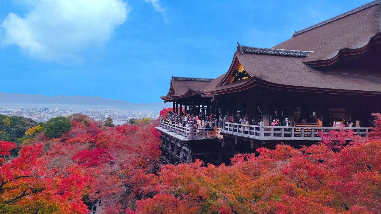 [KYOTO Vlog] Осенние листья в храмах /Тофуку-дзи, Киёмидзу-дэра, Эйкан-до👘Япония Путешествия