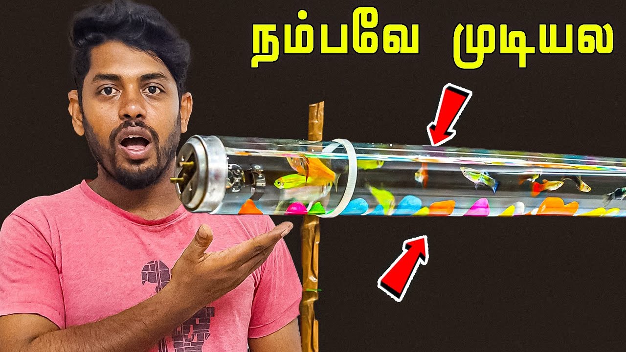 டியூப் லைட்டின் உள்ளே மீன் 🐟🐋 DIY Aquarium in Tamil 🔥🔥