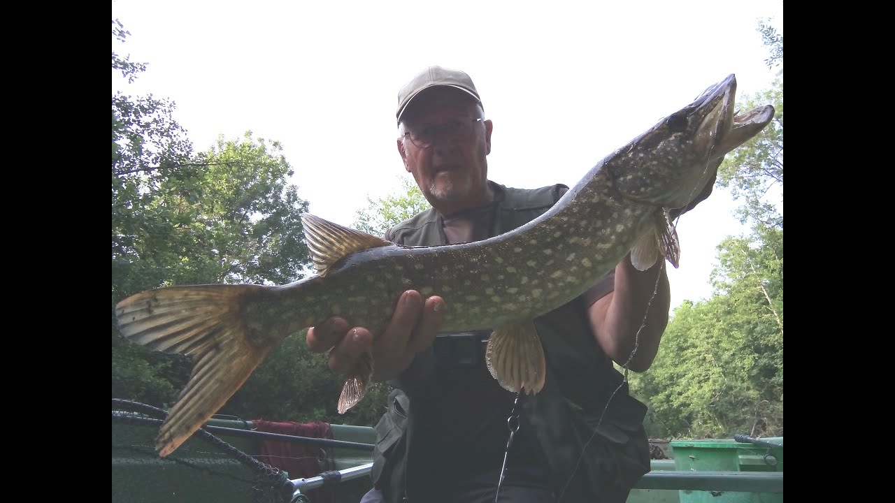Fishing au Vif