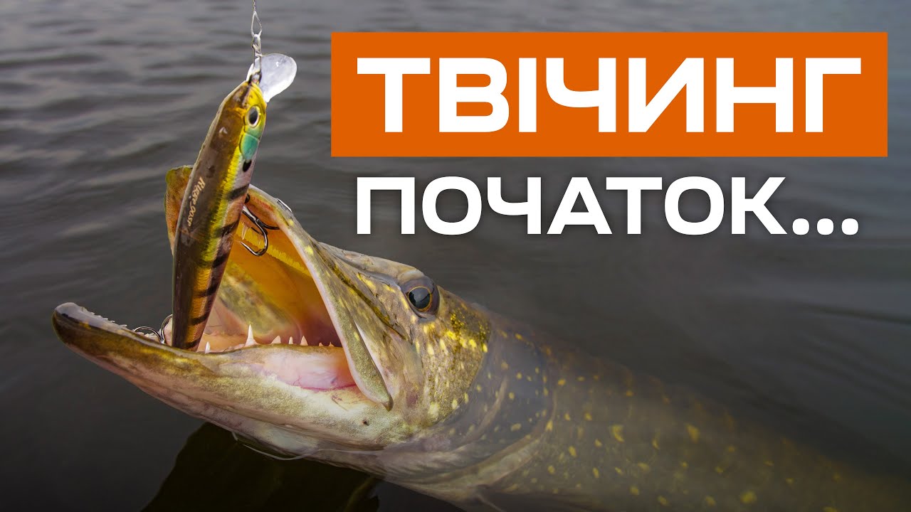 Щука починає клювати на воблери? Як її ловити твічингом на Дніпрі?
