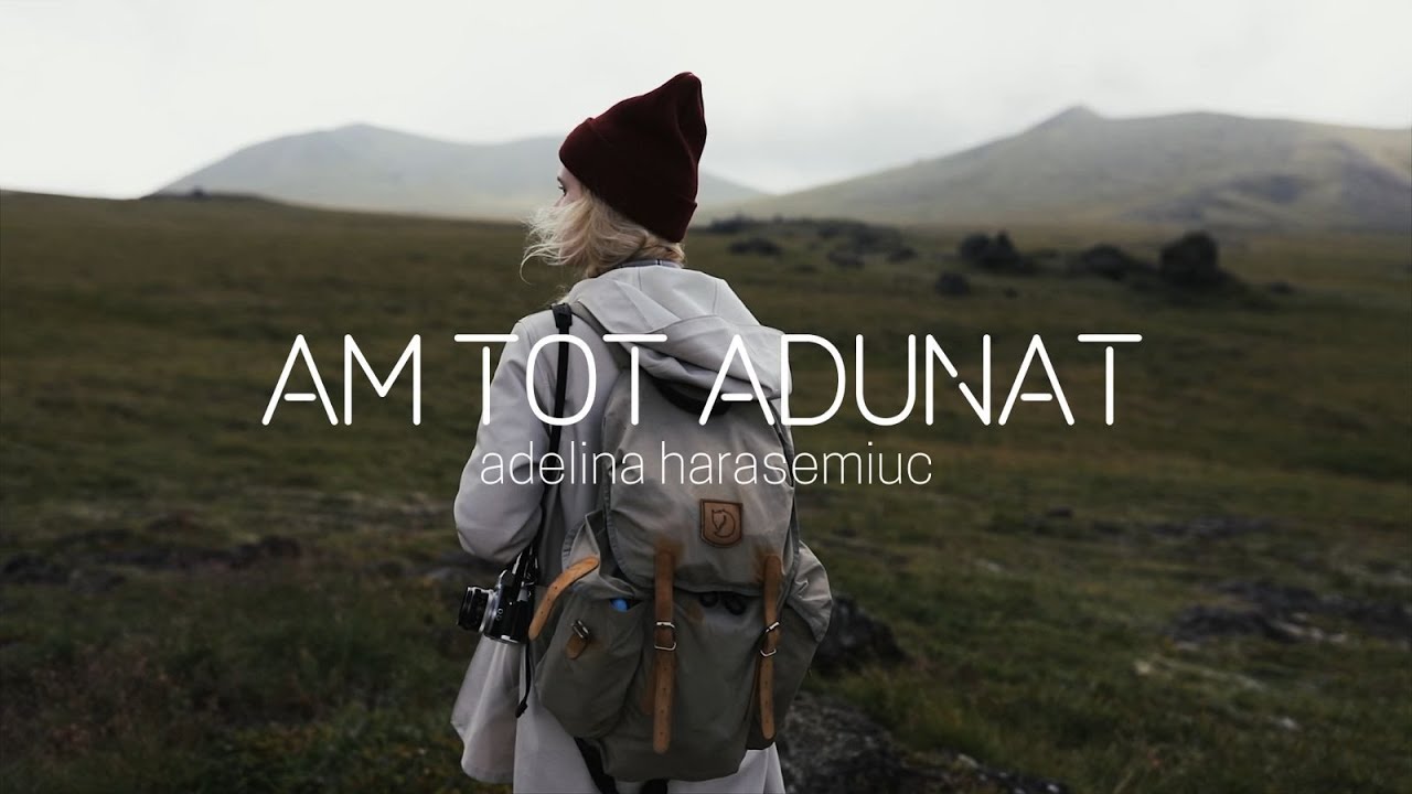 Am tot adunat - Harasemiuc Adelina