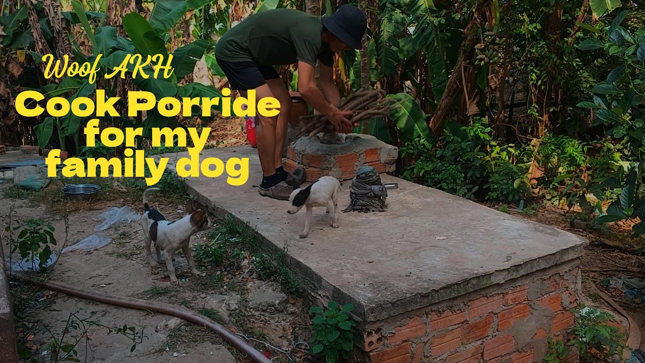 I Made Yummy Porridge for My Dogs! / Woof AKH
