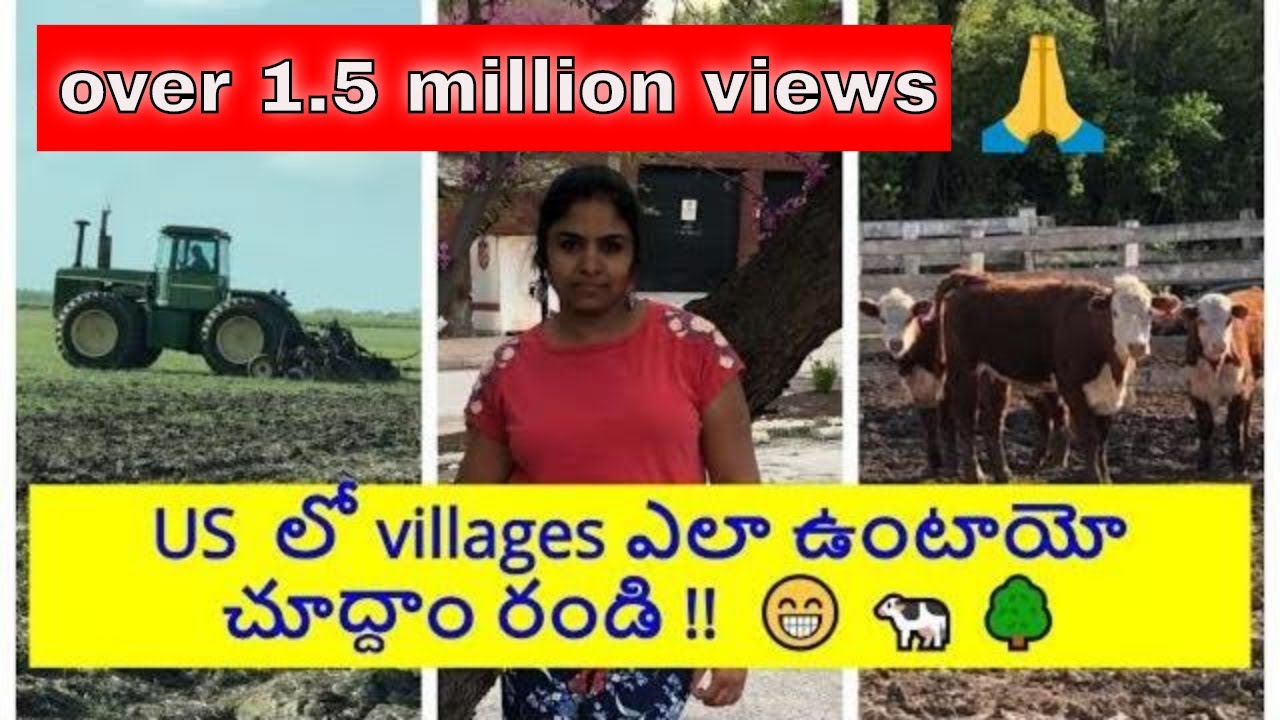 American Villages ఎలా ఉంటాయో చూడండి || Telugu vlogs from USA||Most requested video