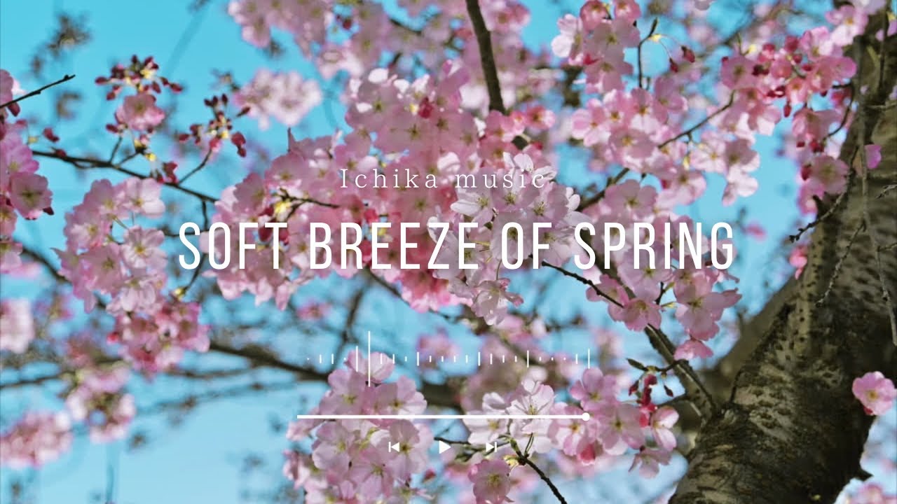 ［playlist］春の訪れを感じる心地よい洋楽Chill playlist︱Feel Good Wake Up｜朝BGM︱Background Music ︱60分耐久︱著作権フリー︱途中広告なし