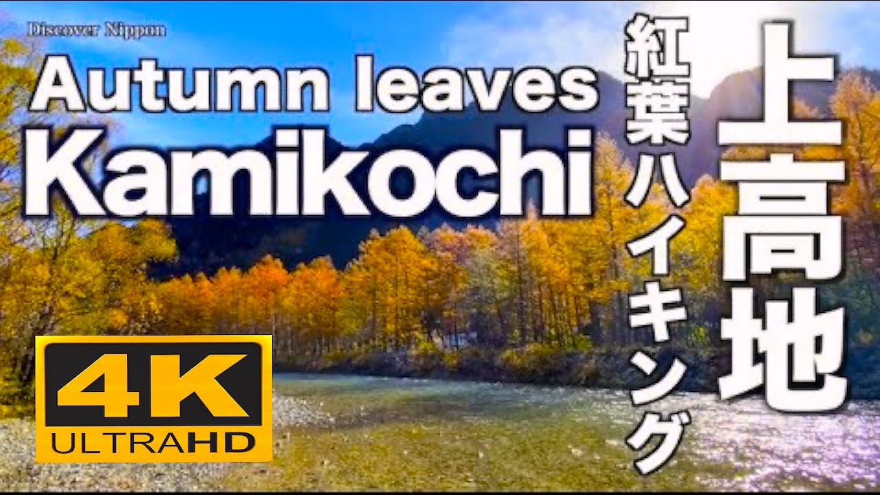 4K 上高地 秋の紅葉 Autumn leaves Kamikochi 大正池 河童橋 明神池 穂高 観光 旅行 ハイキングJAPAN 長野 Taisho pond Kappa Bridge アルプス