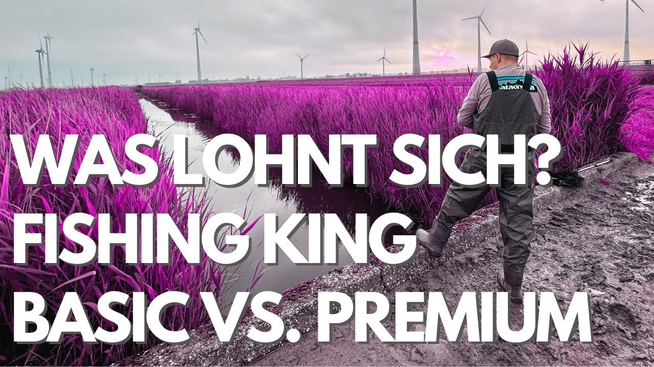 Fishing King Angel Einsteigersets im Vergleich: Ist die Premium-Version ihr Geld wert?