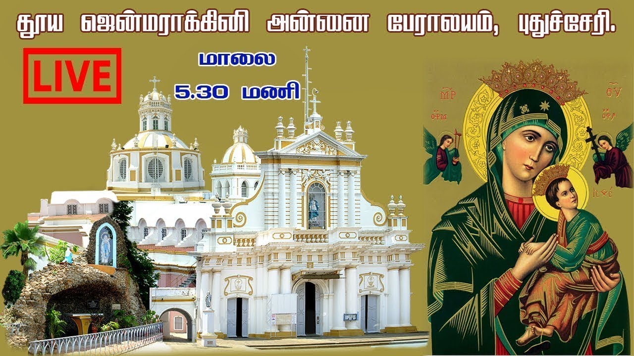 🔴நேரலை 19.01.2026 .தூய ஜென்மராக்கினி அன்னை பேராலயம்,   திருப்பலி.05.30.PM