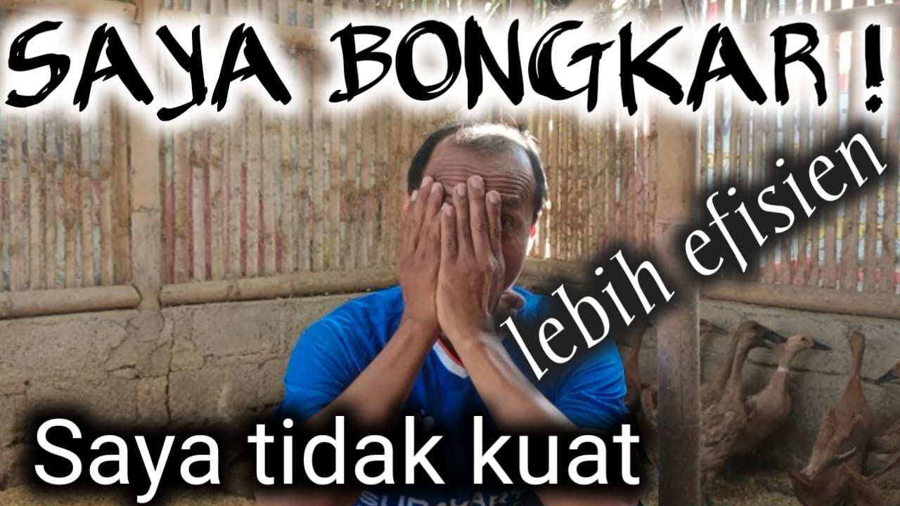 Akhirnya saya buka RAHASIA  ini ! Pakan bebek model pelet #pernak_bebek #ternak_bebek_petelur #duck
