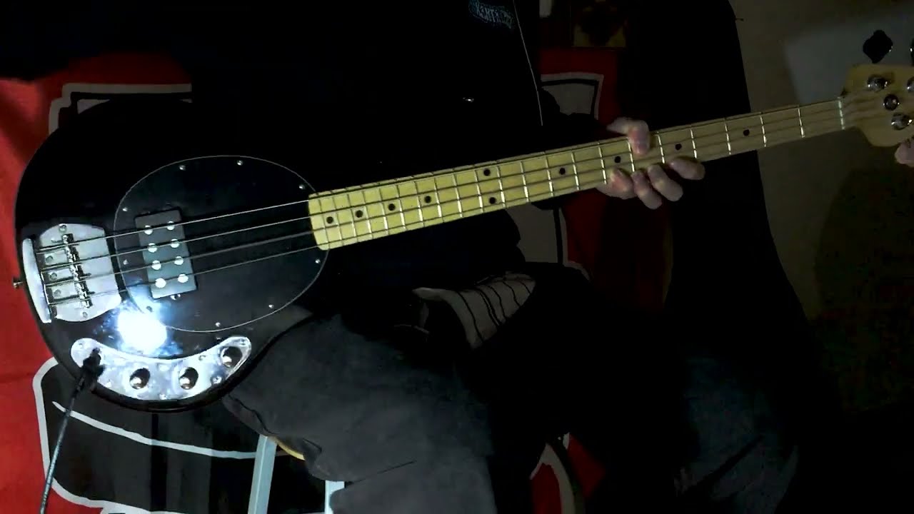 blink-182 - Carousel (Bass Cover)