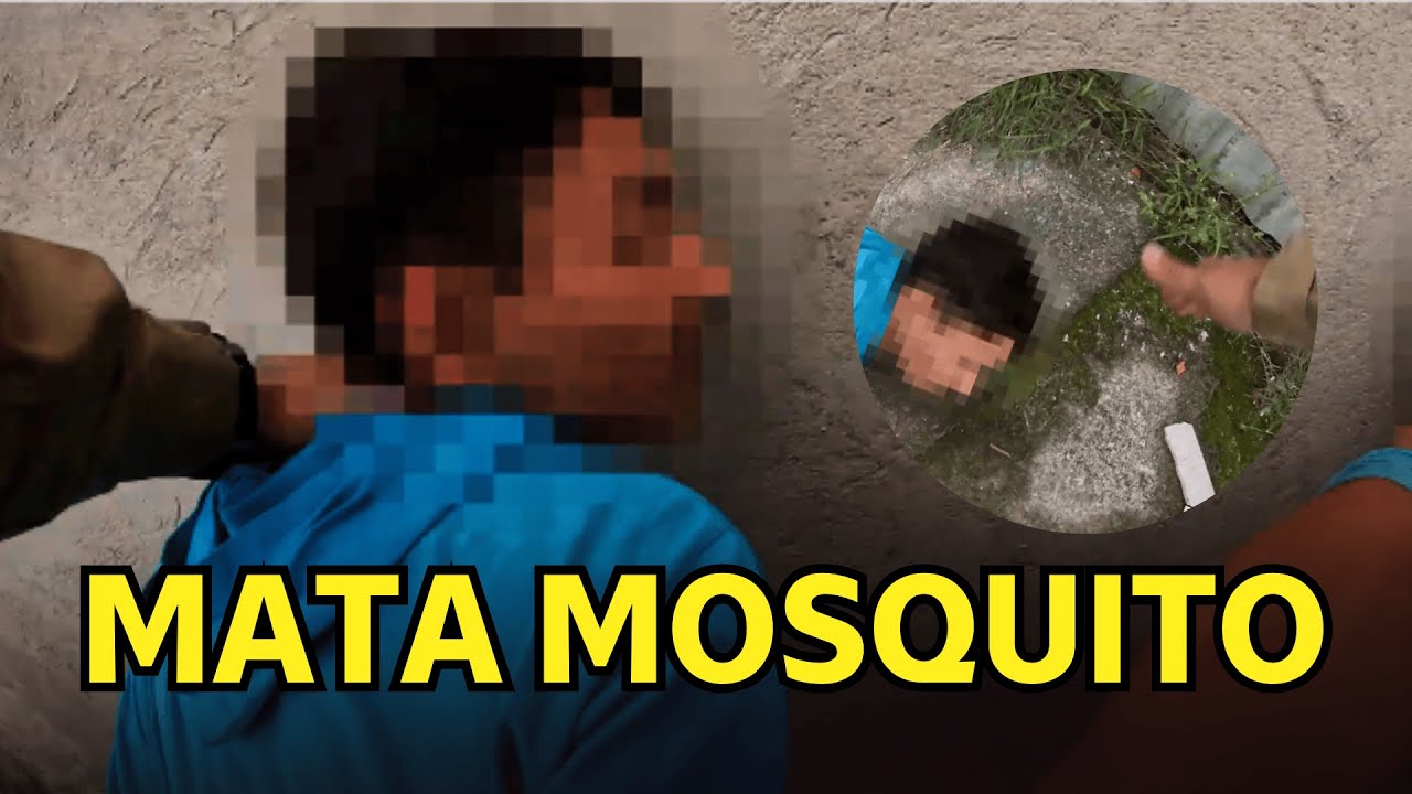 FURTOU O CELULAR NO BALCÃO DA LOJA E TOMOU UM ESCULACHO MERECIDO | FARDA 029
