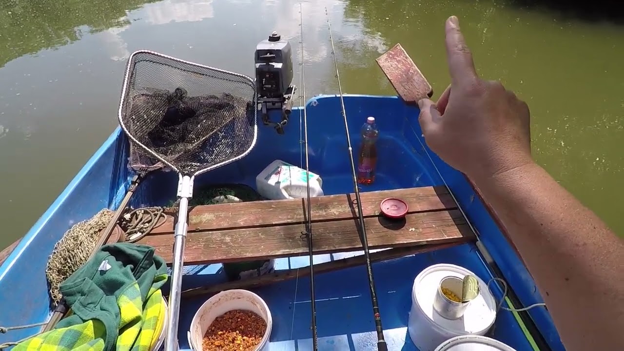 TELJES HORGÁSZAT. EZ AZ IGAZI HORGÁSZAT...EZT CSAK A TISZA TUDJA.  5 HALFAJ UGYANARRA A CSALIRA JÖTT