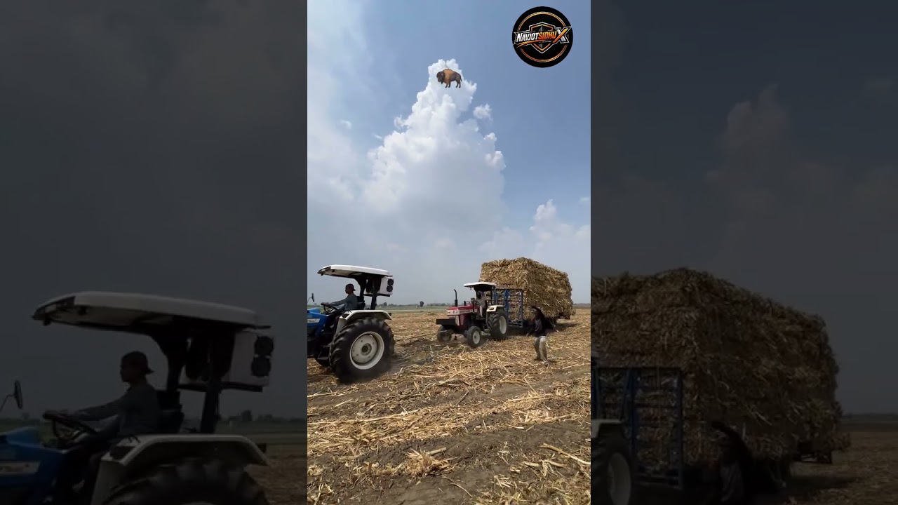3630 Holland 💙. #trending #jattlifestudios #farming #viral #jattmind