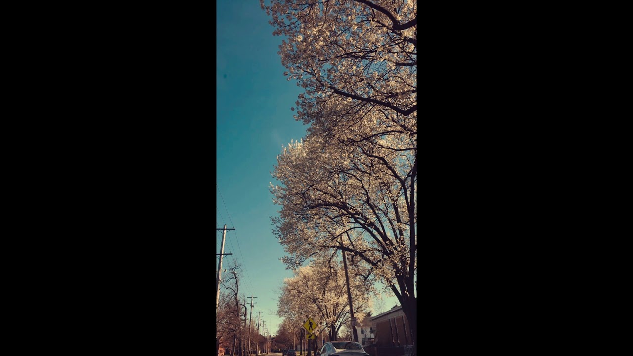 💞free// acoustic guitar / happy lofi / folk type beat ~ lonely spring