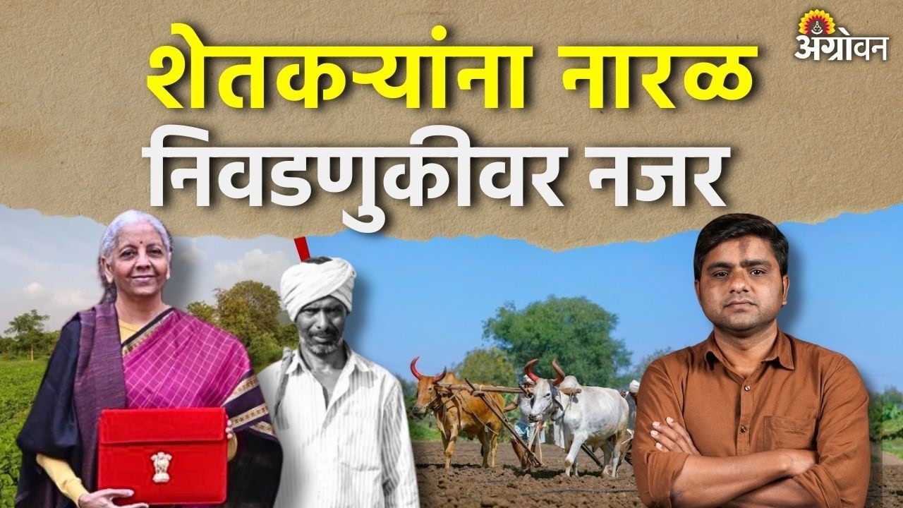 Union Budget 2026 : केंद्रीय अर्थसंकल्पात शेतकऱ्यांच्या वाट्याला काय आले ? | Agrowon