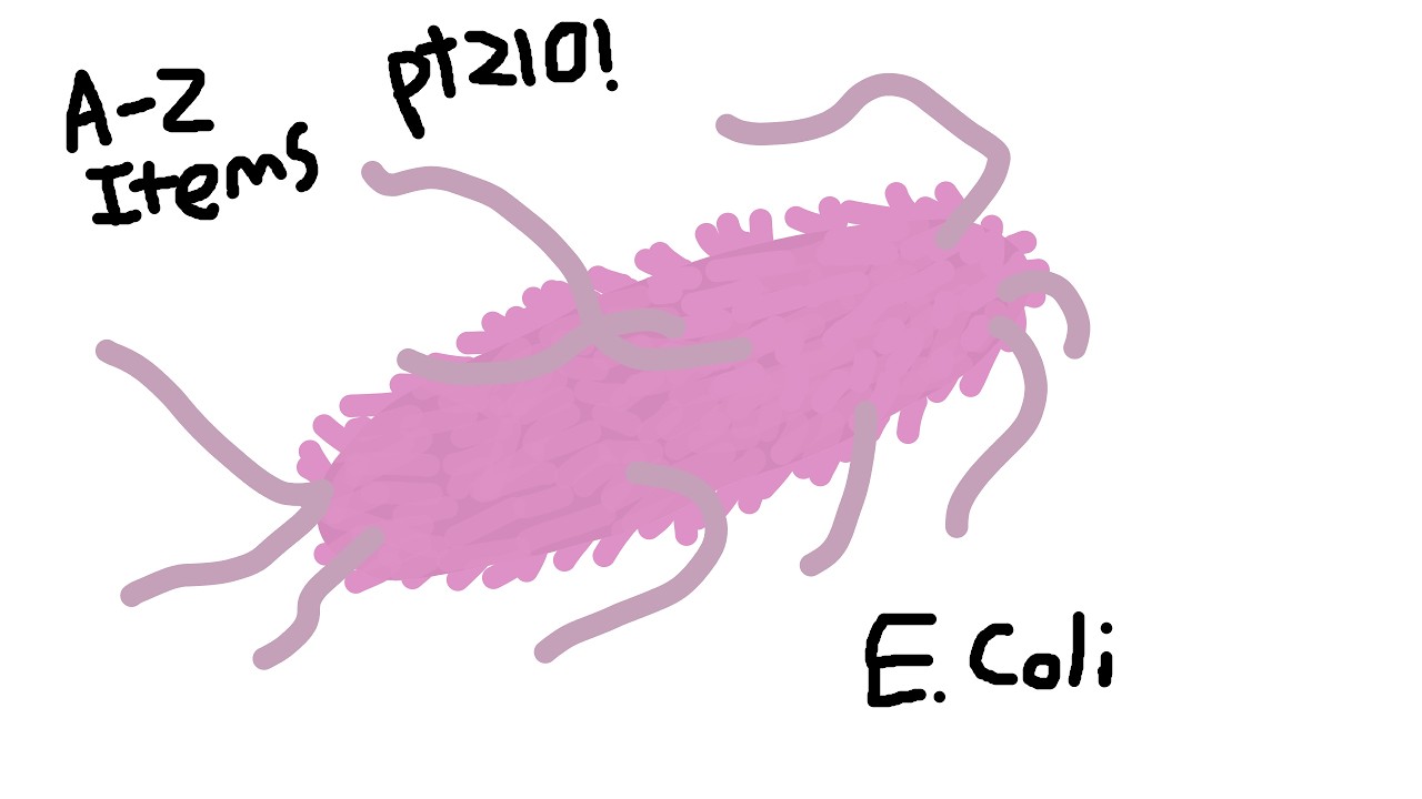 A-Z Items pt 210 E. Coli!