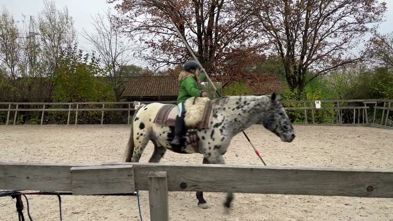 Garrocha-Reiten: Dieses Kind begeistert alle!
