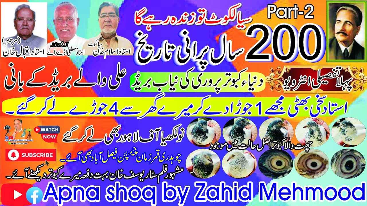 Ali Waly Kabootar is REALLY 200 Years Old? |MEET Ustad Islam Khan Sialkot Ali waly kabootar kay bani
