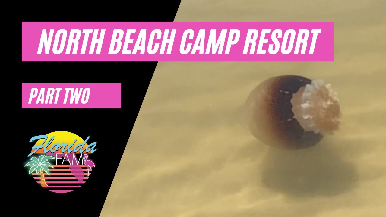 NEW RVERS VISIT ST AUGUSTINE: NORTH BEACH CAMP RESORT PART 2