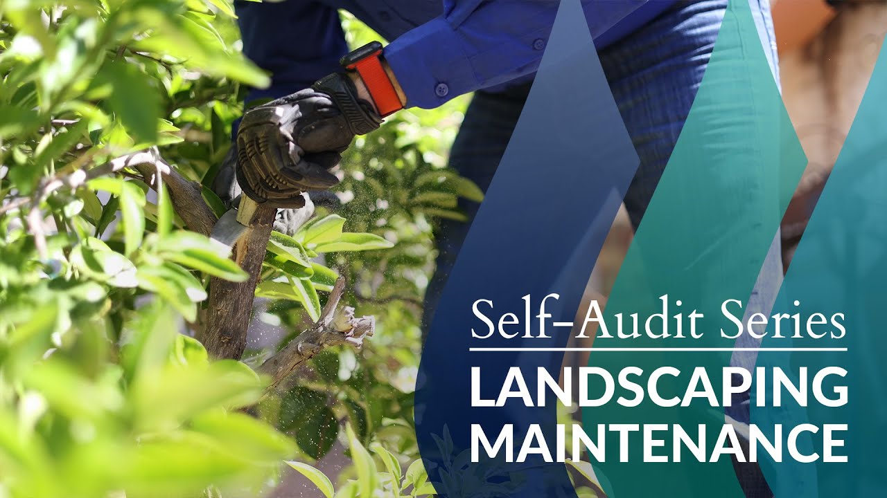 Self-Audit Series: Landscaping Maintenance