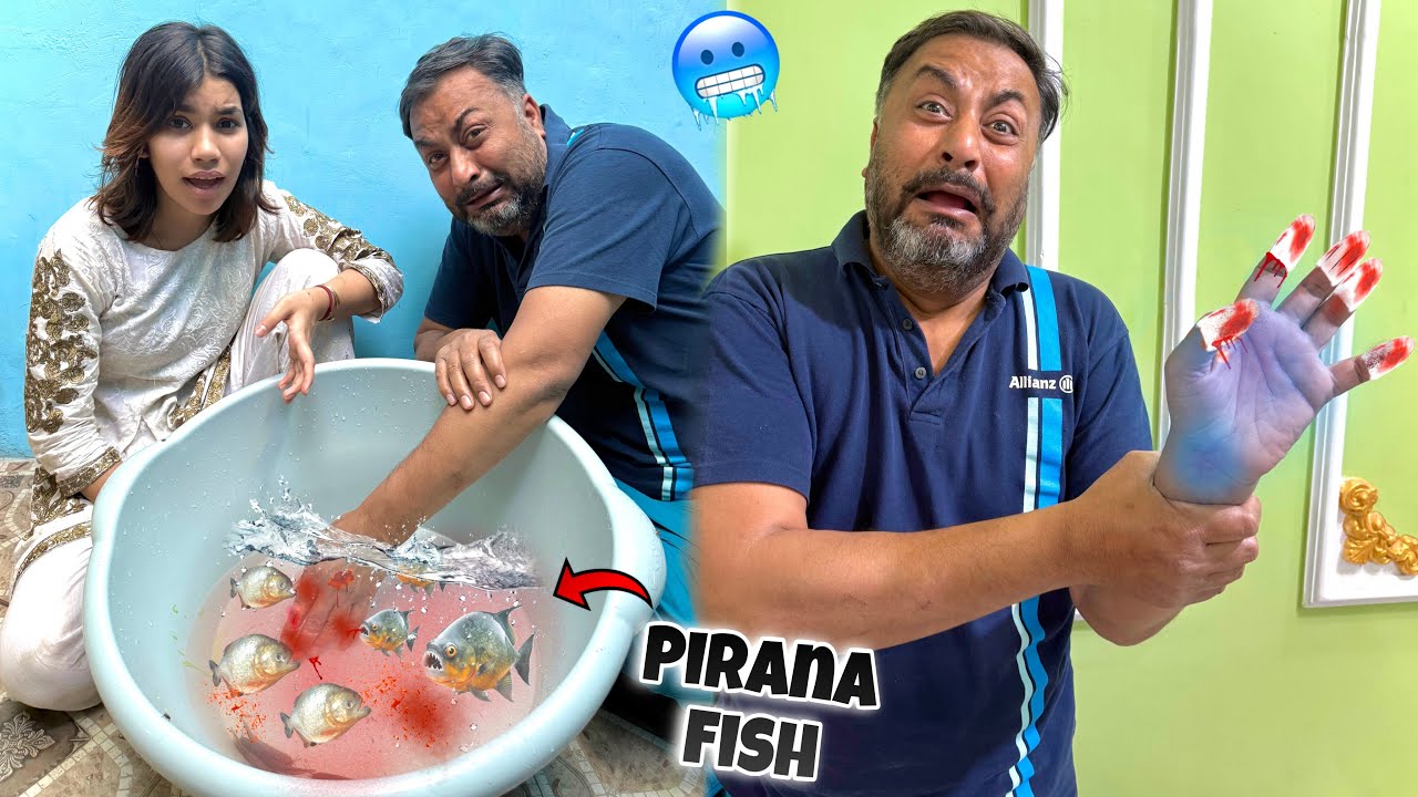 Anamta ki adum khor fish ny😭 papa ko kat liya😱