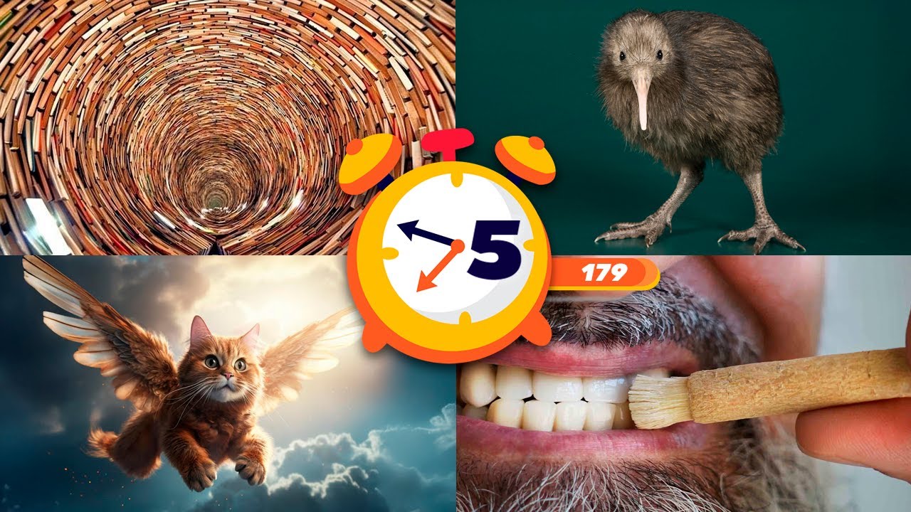 25 cosas que NO SABÍAS hace 5 minutos ⏰🧠 #179 [Curi]