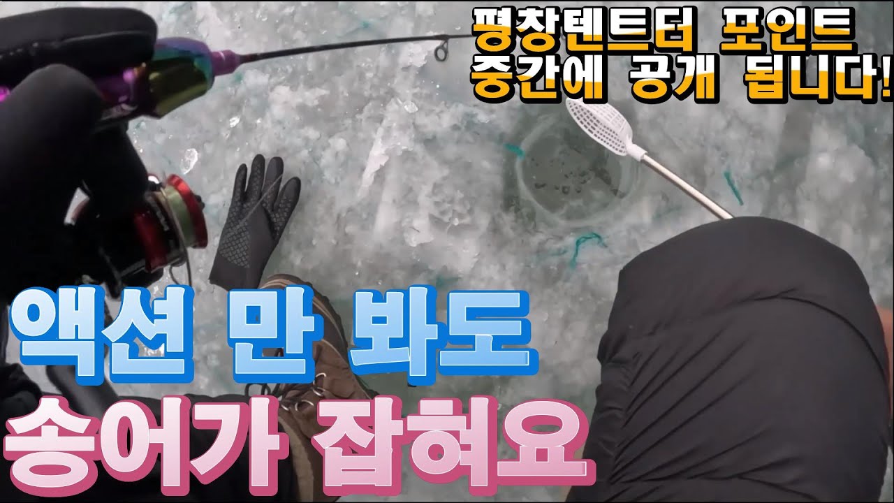 평창송어축제 포인트 공개?