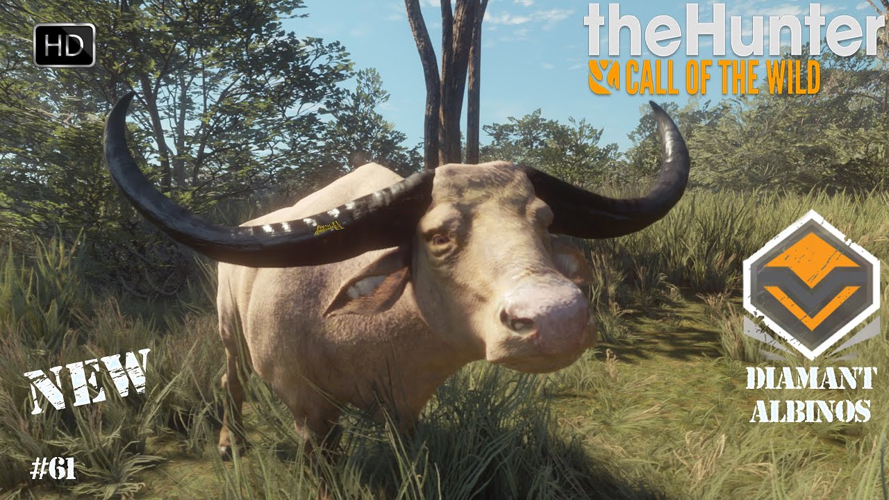 THEHUNTER CALL OF THE WILD #61 SCORING 2.0 CHASSE AUX BUFFLES DES MARAIS