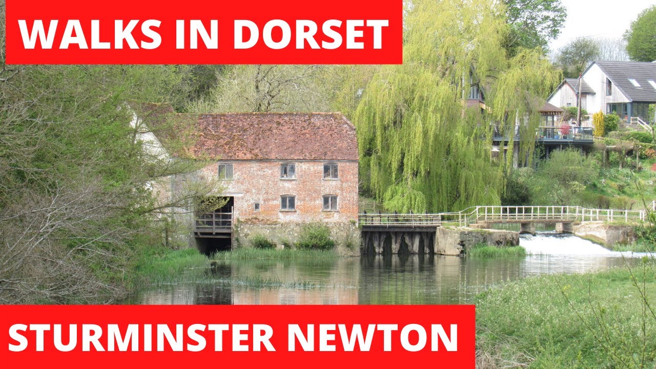 WALKS IN DORSET at STURMINSTER NEWTON & FIDDLEFORD (the RIVER STOUR) [4K]