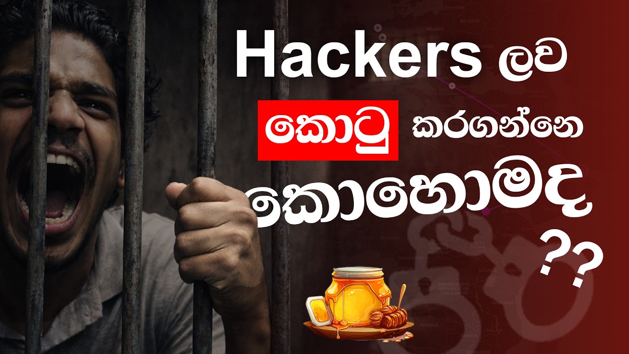 I left a Server Unprotected for 30 Days... (2 Million Attacks!) | T-Pot Honeypot  [Sinhala]