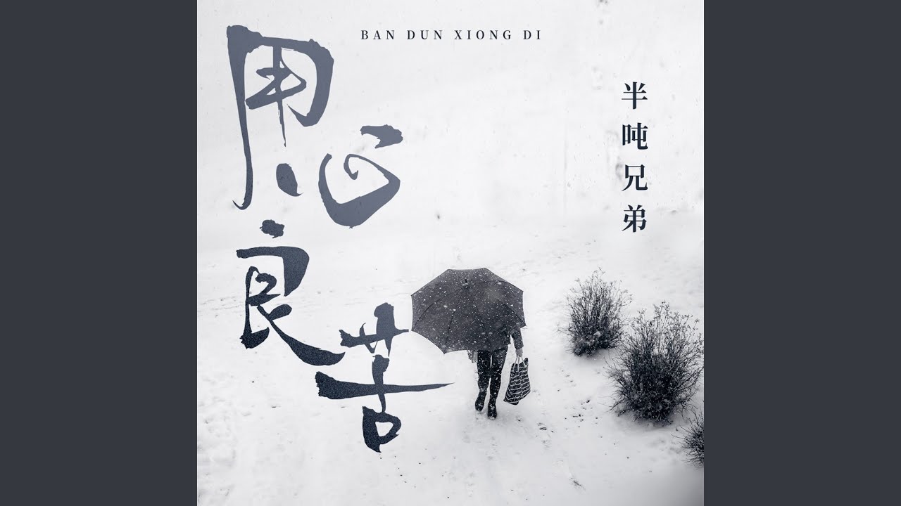 用心良苦 (DJ九零版)