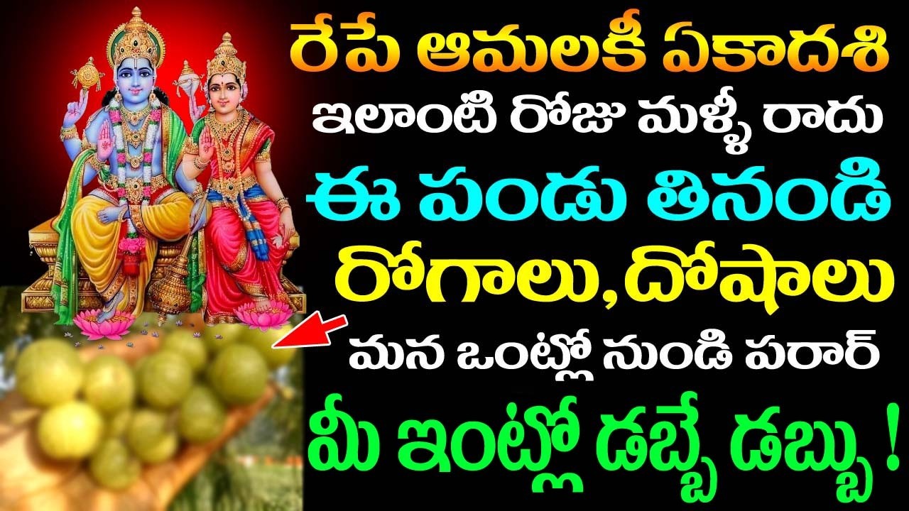 రేపే ఆమలకి ఏకాదశి ఈ పండు తినండి రోగాలు ,దోషాలు ఒంట్లో నుండి పరార్ మీ ఇంట్లో డబ్బే డబ్బు !