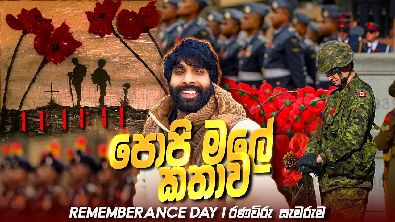 පොපි මලේ කතාව 🌺| The Rememberance Day 🕊#රණවිරු#popiflowers#rememberanceday 