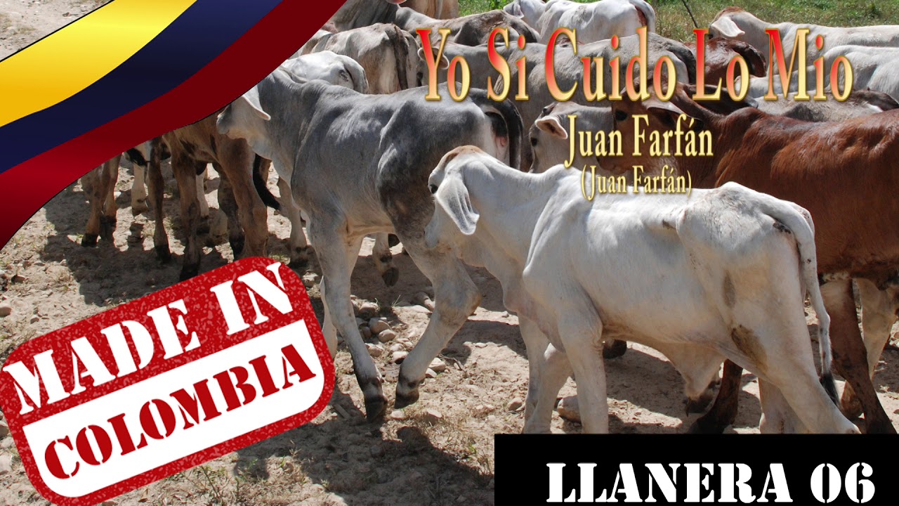 Yo Si Cuido Lo Mio -     Juan Farfán