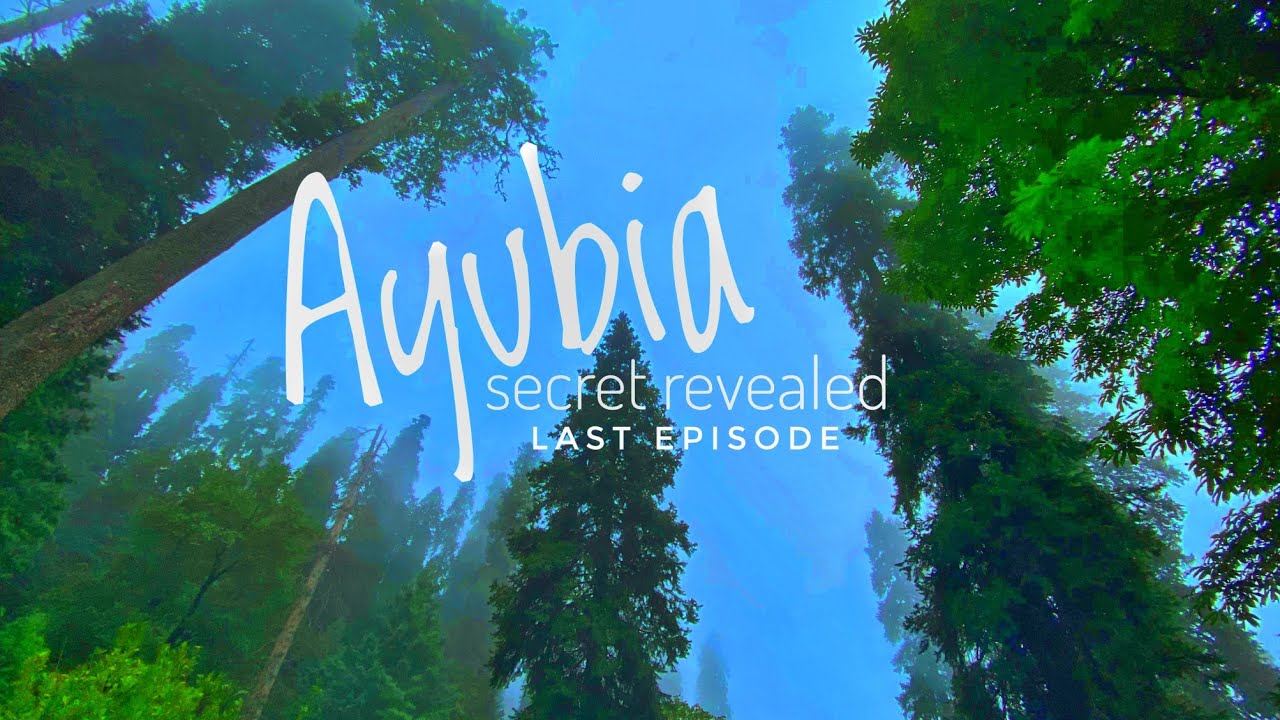 Hidden Moto Tunnel & Ayubia’s Scenic Spots | Murree to Peshawar Journey   (last episode)