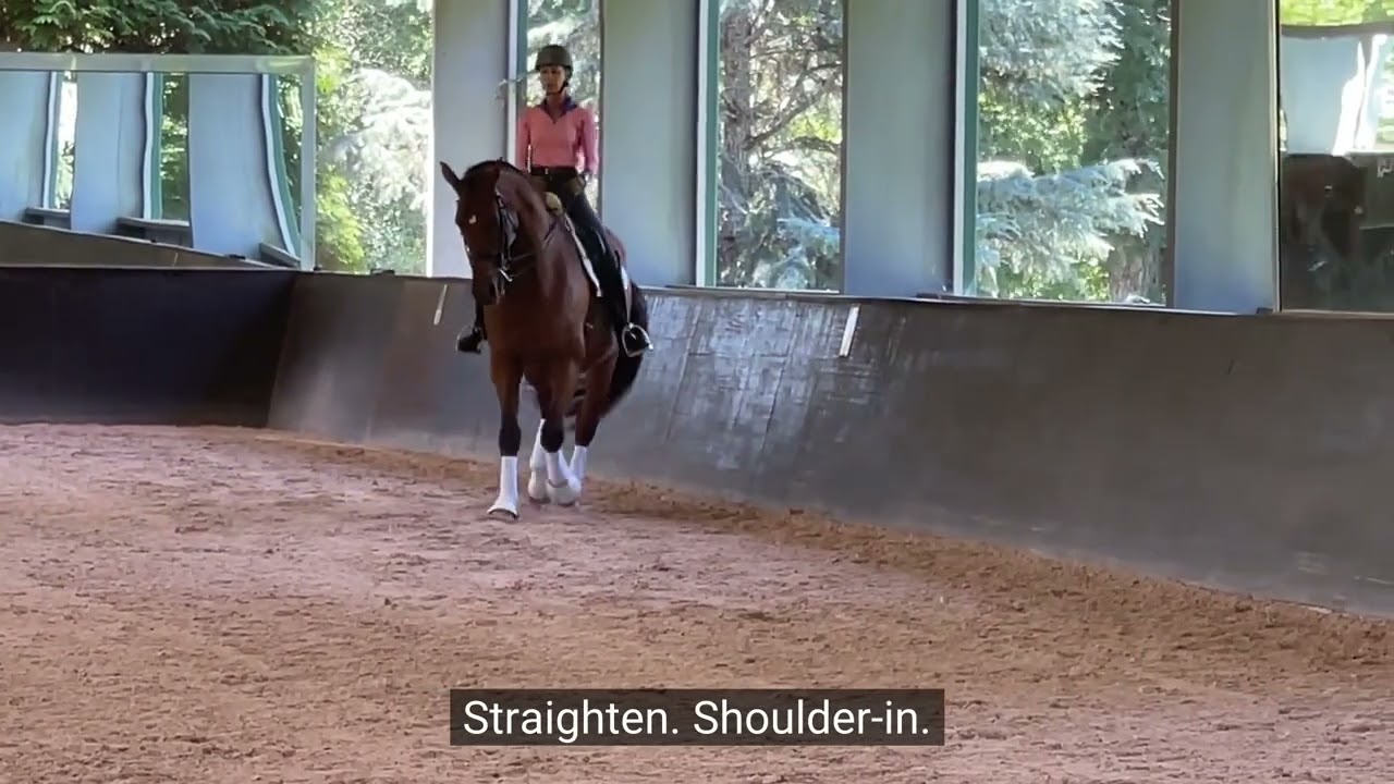 The Shoulder-In Entwickeln Exercise with Montana